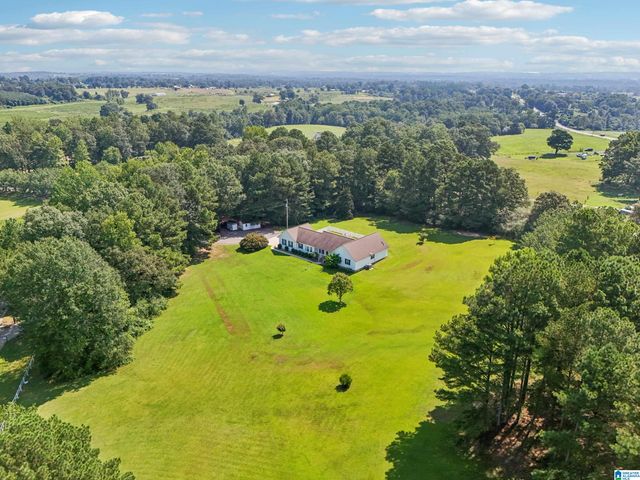 160 DOGWOOD LANE, Holly Pond, AL 35083