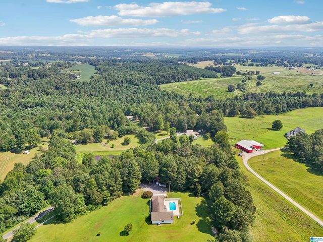 160 DOGWOOD LANE, Holly Pond, AL 35083