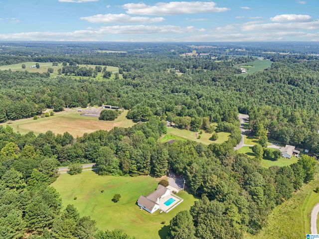 160 DOGWOOD LANE, Holly Pond, AL 35083