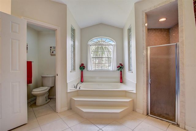 12202 RAMBLING OAK BOULEVARD, Orlando, FL 32832