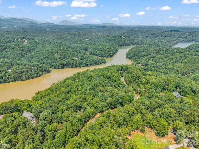 00 Lake Adger Parkway 60, Mill Spring, NC 28756