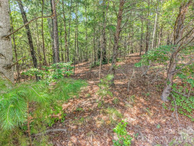 00 Lake Adger Parkway 60, Mill Spring, NC 28756