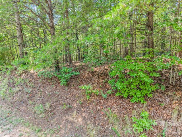 00 Lake Adger Parkway 60, Mill Spring, NC 28756