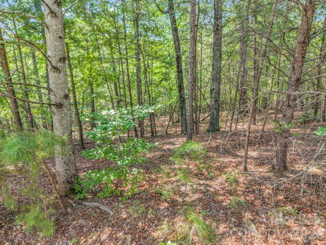00 Lake Adger Parkway 60, Mill Spring, NC 28756