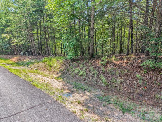 00 Lake Adger Parkway 60, Mill Spring, NC 28756