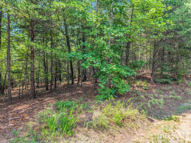 00 Lake Adger Parkway 60, Mill Spring, NC 28756