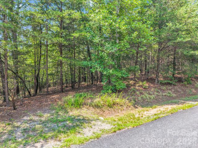 00 Lake Adger Parkway 60, Mill Spring, NC 28756