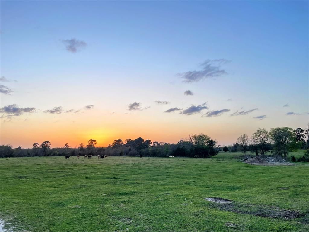 TBD County Road 211, Anderson, TX 77830