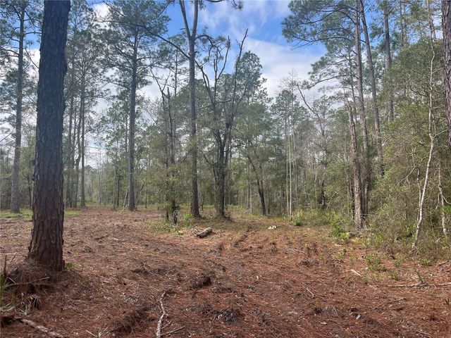 10530 GREGORY AVE, Hastings, FL 32145