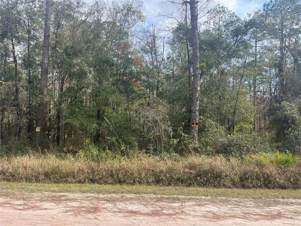 10530 GREGORY AVE, Hastings, FL 32145