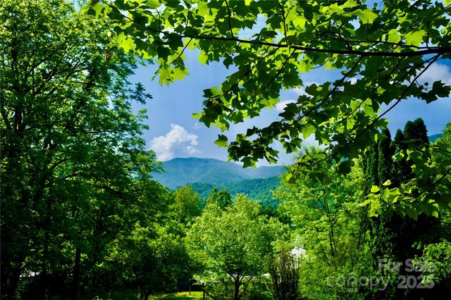 38 Buchanan Hill Road, Bakersville, NC 28705