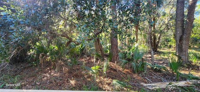 680 E BLACK POINT ROAD, Bunnell, FL 32110