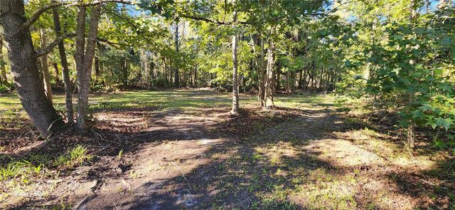 680 E BLACK POINT ROAD, Bunnell, FL 32110