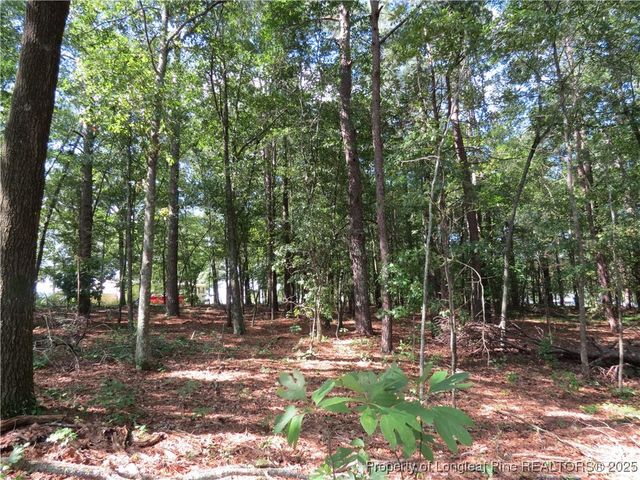 0 Rocky Fork Church Road, Sanford, NC 27332