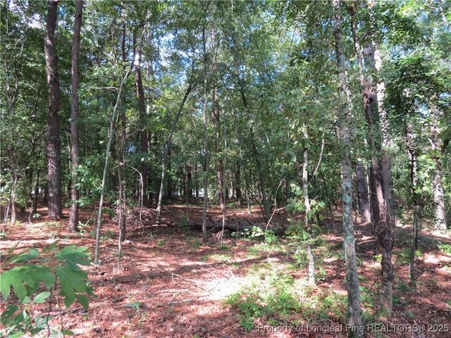 0 Rocky Fork Church Road, Sanford, NC 27332