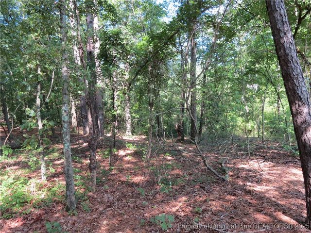 0 Rocky Fork Church Road, Sanford, NC 27332
