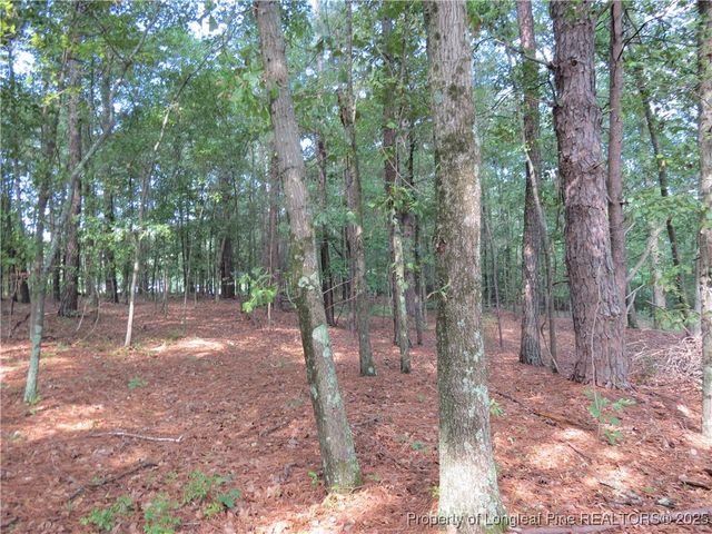 0 Rocky Fork Church Road, Sanford, NC 27332