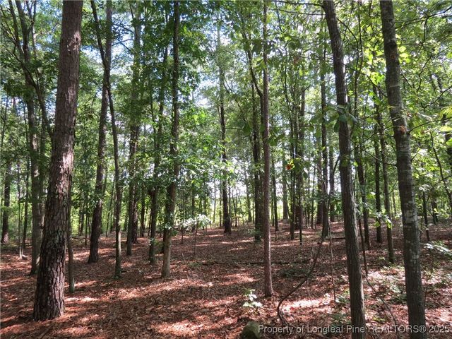 0 Rocky Fork Church Road, Sanford, NC 27332