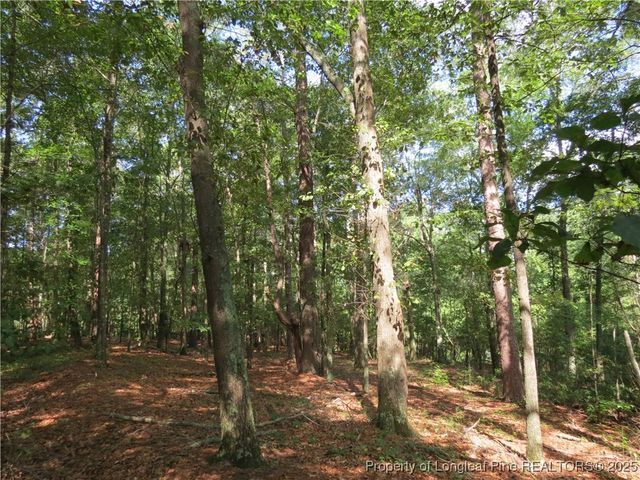 0 Rocky Fork Church Road, Sanford, NC 27332