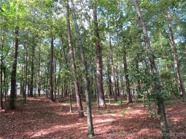 0 Rocky Fork Church Road, Sanford, NC 27332