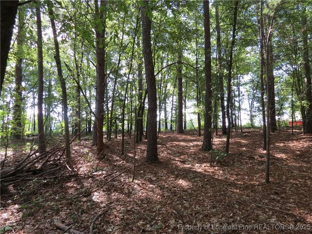 0 Rocky Fork Church Road, Sanford, NC 27332