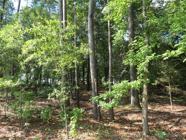 0 Rocky Fork Church Road, Sanford, NC 27332
