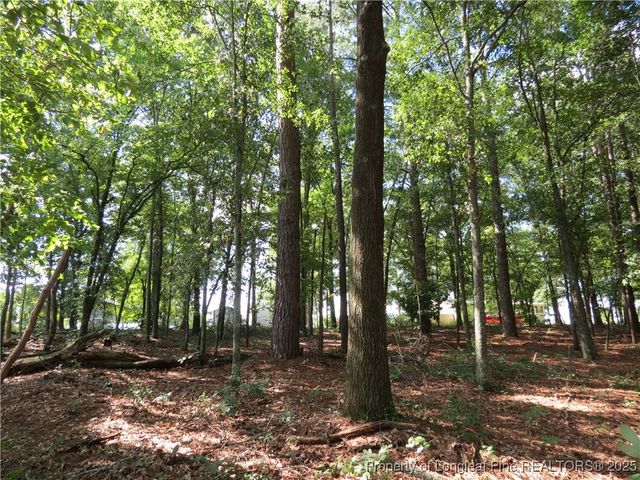 0 Rocky Fork Church Road, Sanford, NC 27332