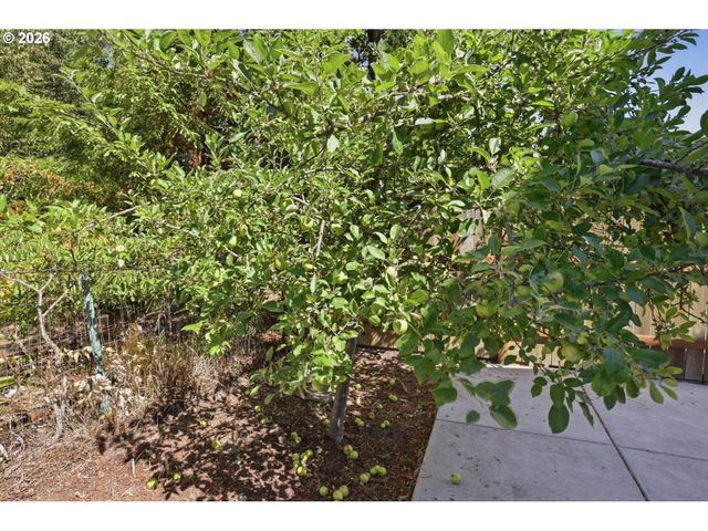 4630 GLACIER MEADOWS Loop, Springfield, OR 97478