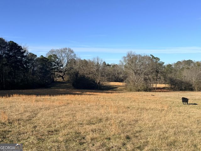 910 Line Creek Road, Senoia, GA 30276