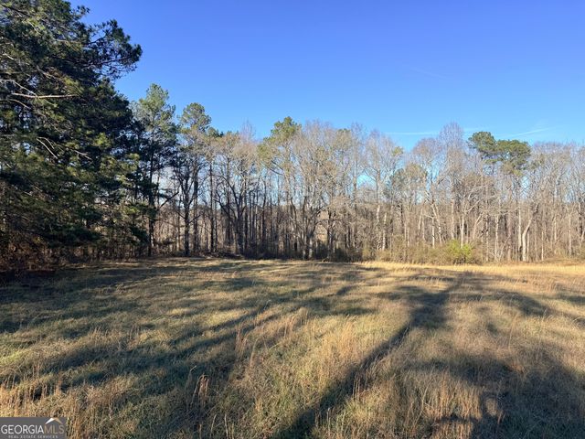 910 Line Creek Road, Senoia, GA 30276