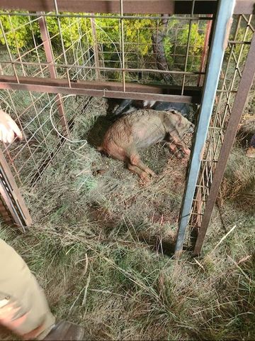 5860 County Road 423, Cisco, TX 76437