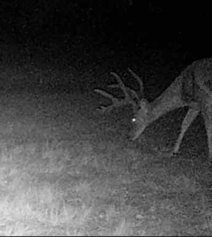 5860 County Road 423, Cisco, TX 76437