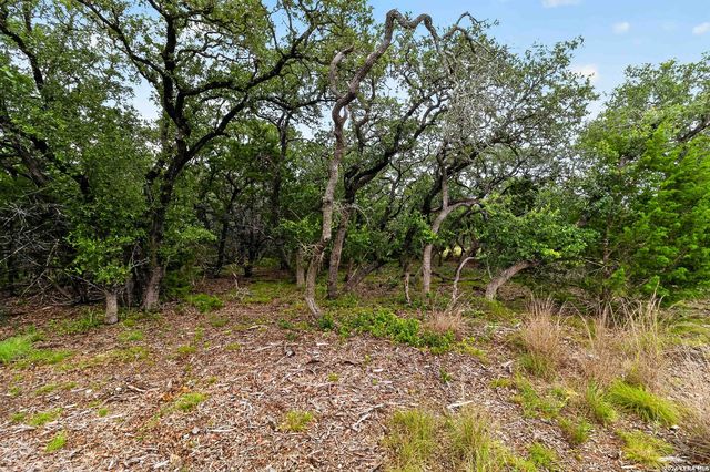 34893 THANKSGIVING TRL, Bulverde, TX 78163
