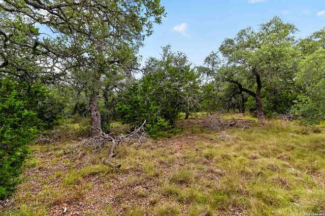 34893 THANKSGIVING TRL, Bulverde, TX 78163