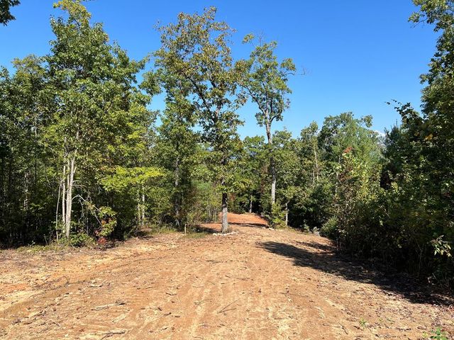 124 Hideout Lane, Murphy, NC 28906