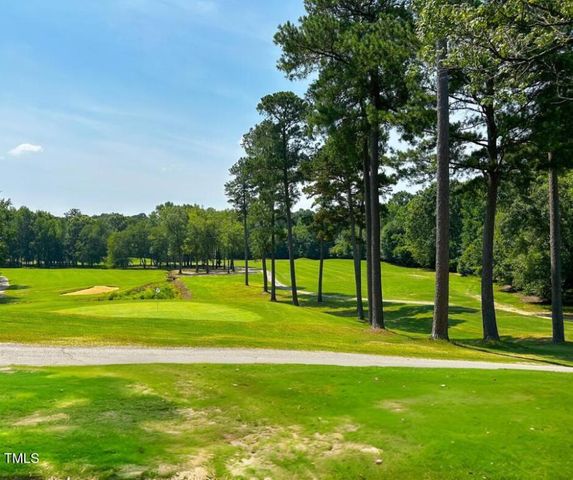 133 Black Cloud Drive, Louisburg, NC 27549