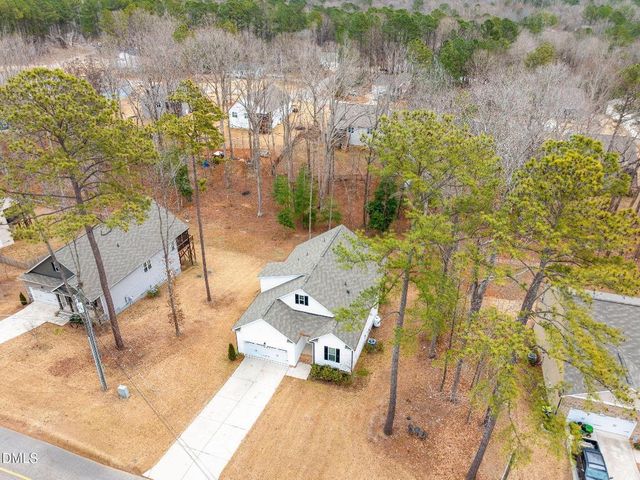 133 Black Cloud Drive, Louisburg, NC 27549
