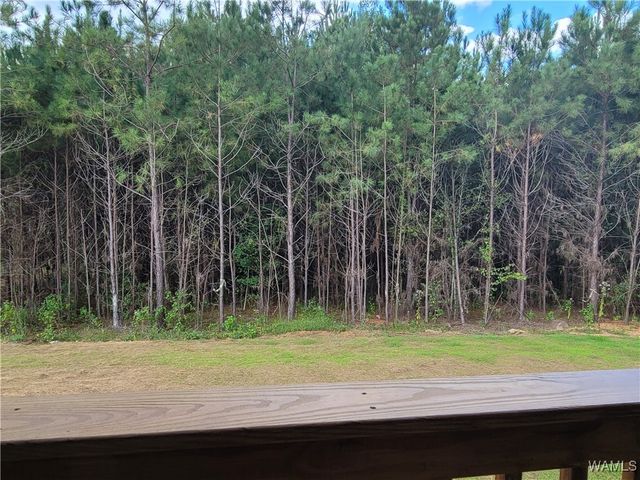 13867 Gilliam, Berry, AL 35546