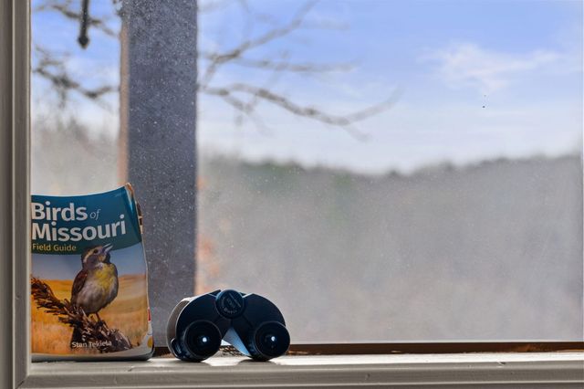 388 Notch Lane A, Reeds Spring, MO 65737