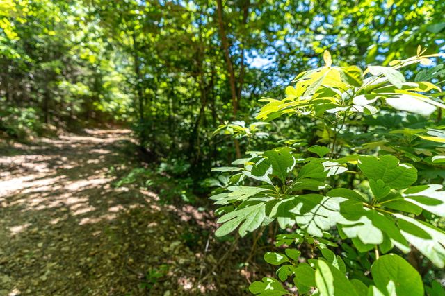 388 Notch Lane A, Reeds Spring, MO 65737