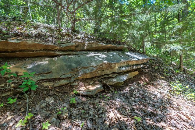 388 Notch Lane A, Reeds Spring, MO 65737