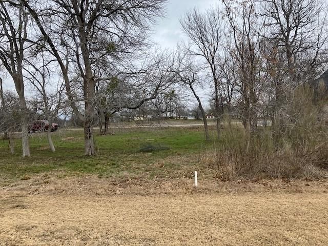 Lot 4 Eagle Point DR, Kingsland, TX 78639