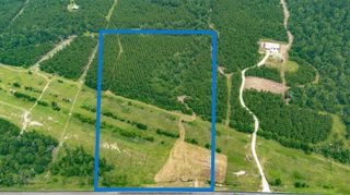 00000 Fm 2989, Midway, TX 75852