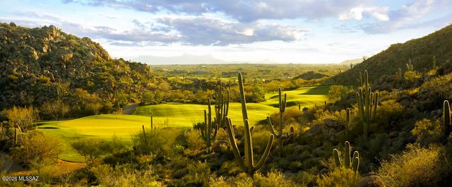 14333 N Mickelson Canyon Court, Oro Valley, AZ 85755