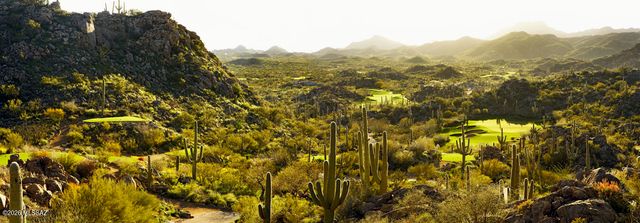 14333 N Mickelson Canyon Court, Oro Valley, AZ 85755