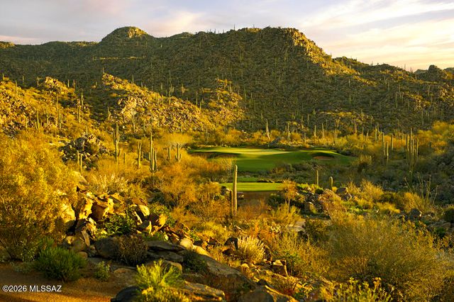 14333 N Mickelson Canyon Court, Oro Valley, AZ 85755