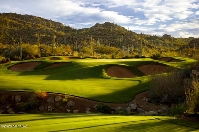 14333 N Mickelson Canyon Court, Oro Valley, AZ 85755
