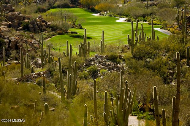 14333 N Mickelson Canyon Court, Oro Valley, AZ 85755