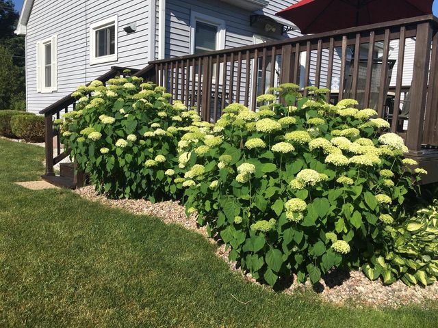780 Old County Road PP, Sheboygan Falls, WI 53085