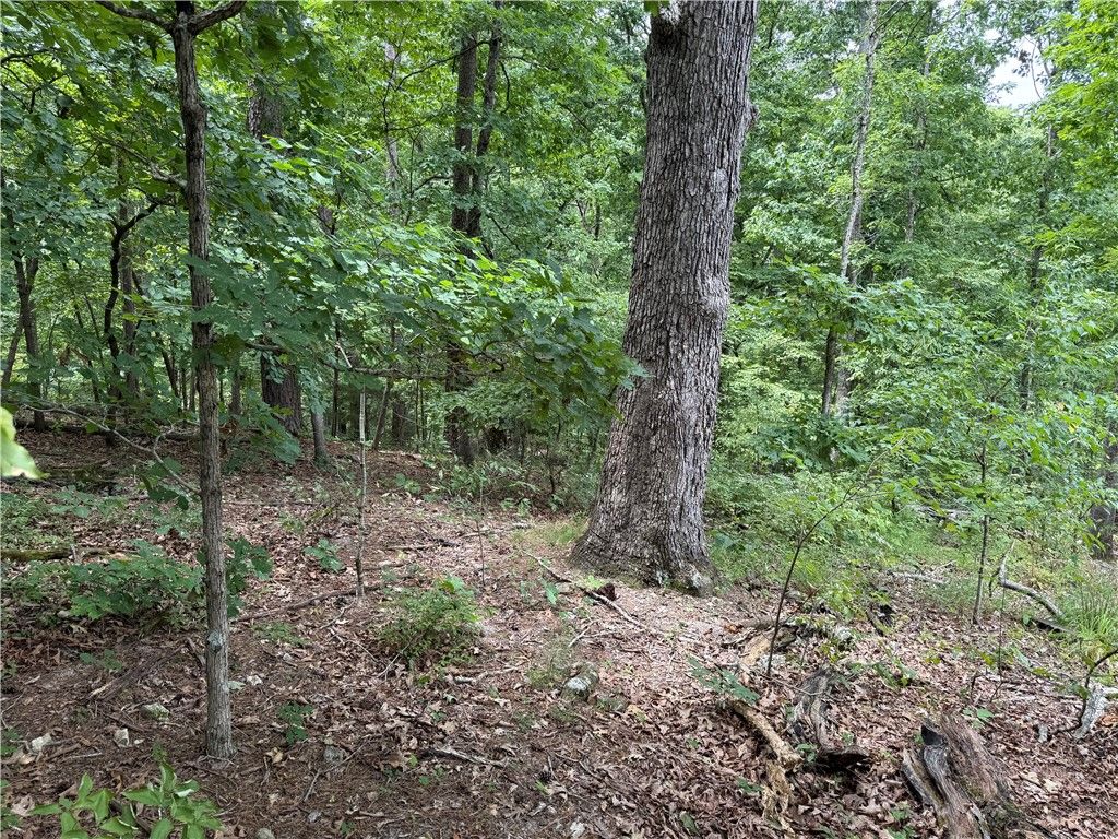 15 Dregg Lane, Bella Vista, AR 72714